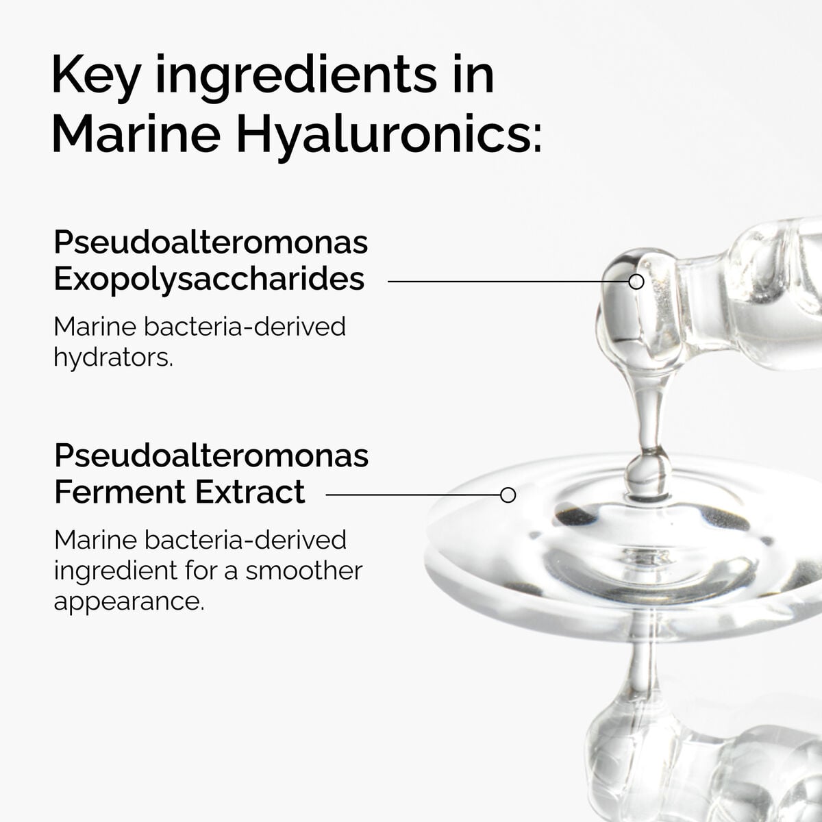 marine-hyaluronics-v4 FY25-D41247-ORD-Web-PDP-Marine-Hya-1x1-EN-2a.jpg