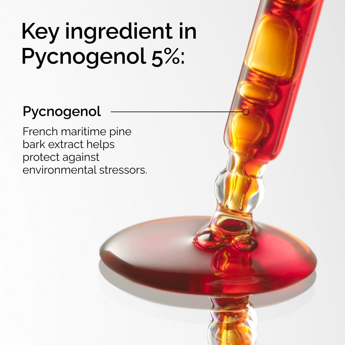 pycnogenol-5-r5 FY25-D41247-ORD-Web-PDP-Pyc-5pct-1x1-EN-2a.jpg