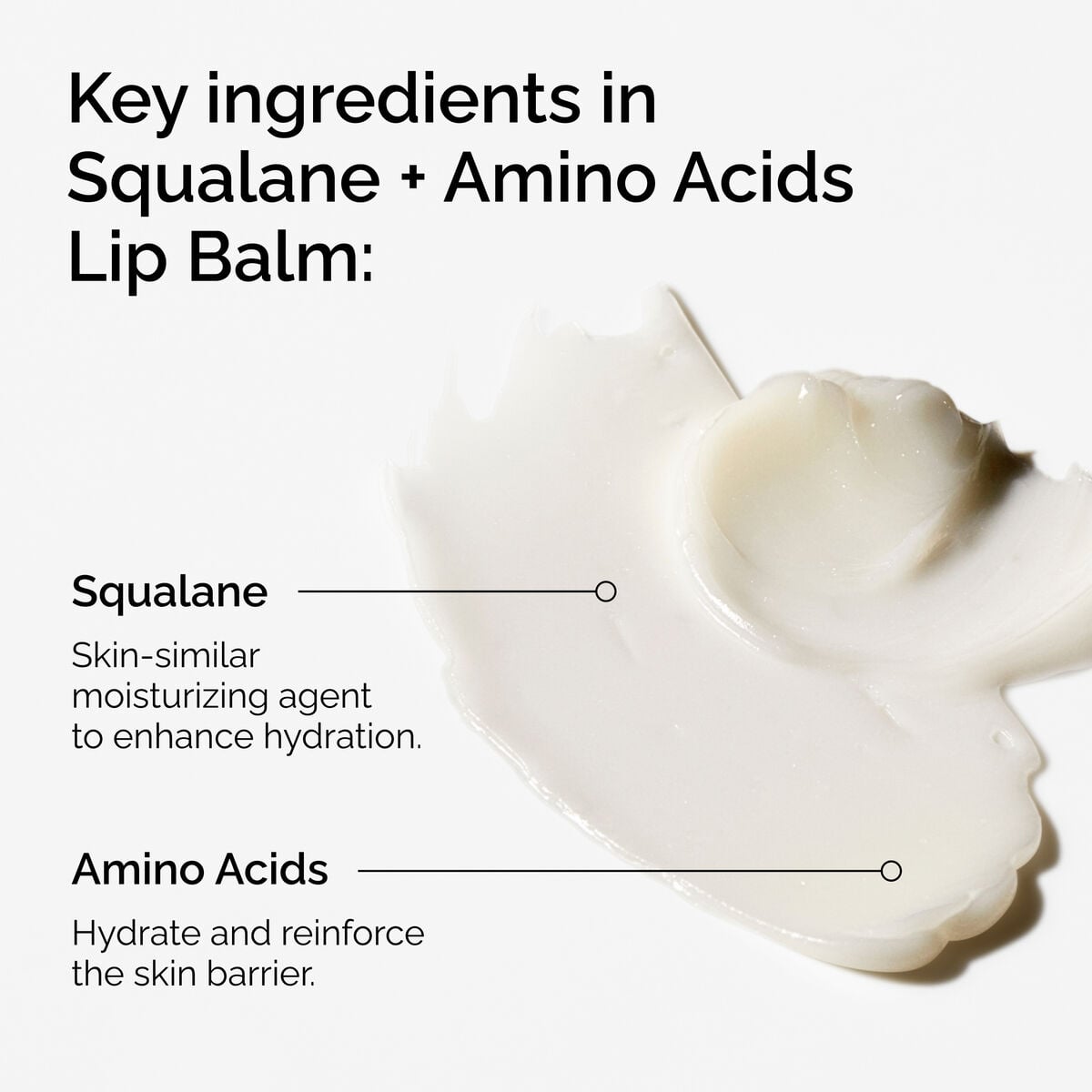 squalane-amino-acids-lip-balm-x1 FY25-D41247-ORD-Web-PDP-Sql-Amino-Lip-1x1-EN-2a.jpg