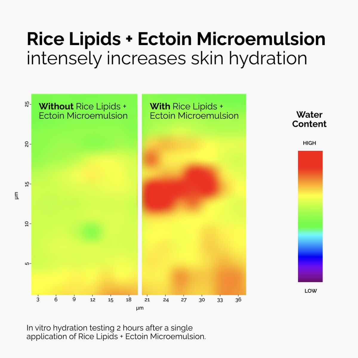 rice-lipids-ectoin-microemulsion-x0 ord-rice-lipids-ectoin-microemulsion-thermal-before-after.jpg